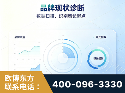 大安-品牌现状诊断