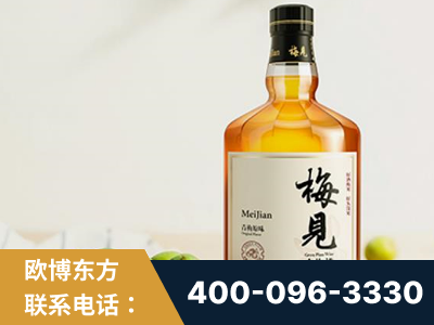 大安-梅见青梅酒