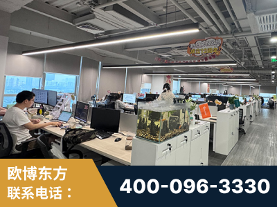 大安-企业展示图